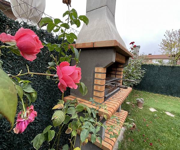 alternative information