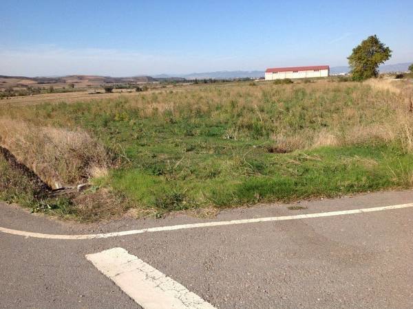 alternative information