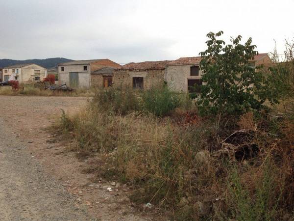 alternative information