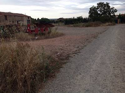 alternative information