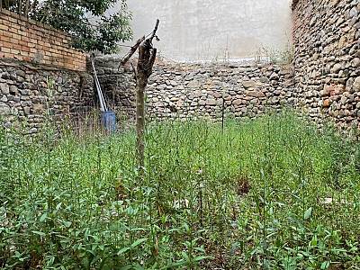 alternative information