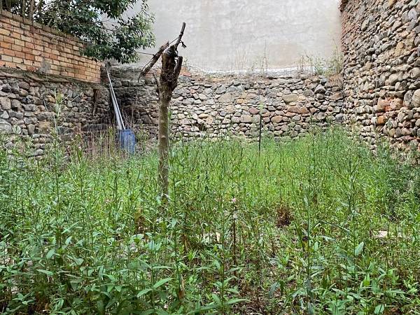 alternative information