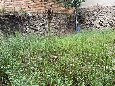 alternative information