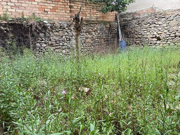 alternative information