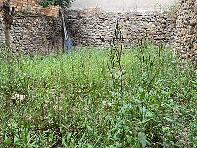 alternative information