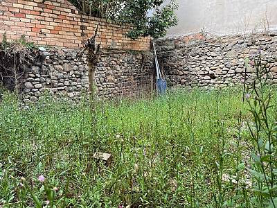 alternative information