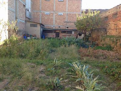 alternative information