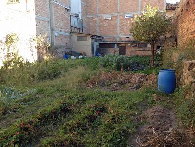 alternative information