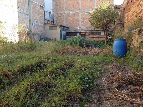 alternative information