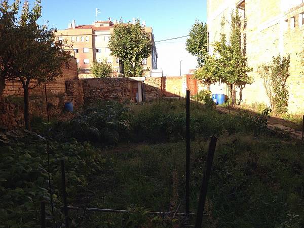 alternative information