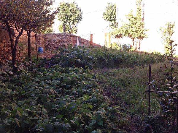 alternative information