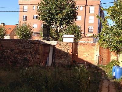 alternative information