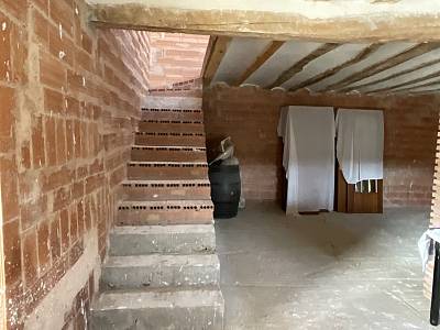 alternative information