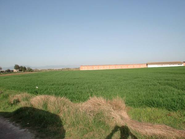 alternative information