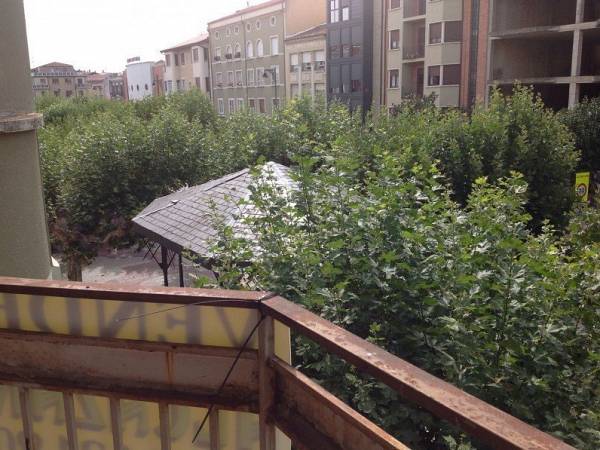 alternative information