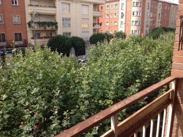 alternative information