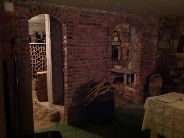 alternative information