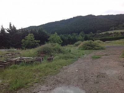 Image title alternative information