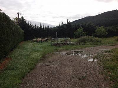 Image title alternative information