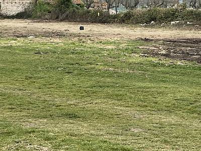 Image title alternative information