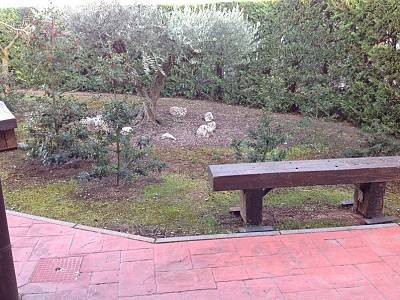 Image title alternative information