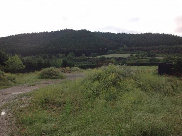 Image title alternative information