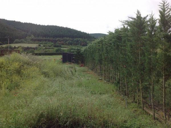 Image title alternative information