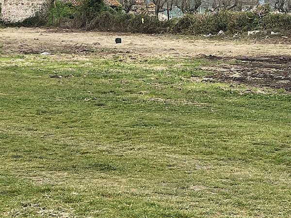 Image title alternative information