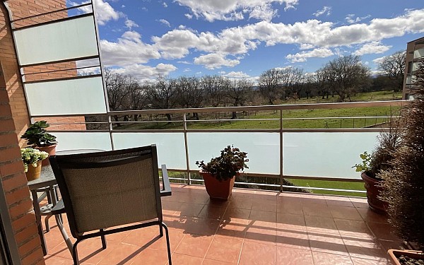 Image title alternative information