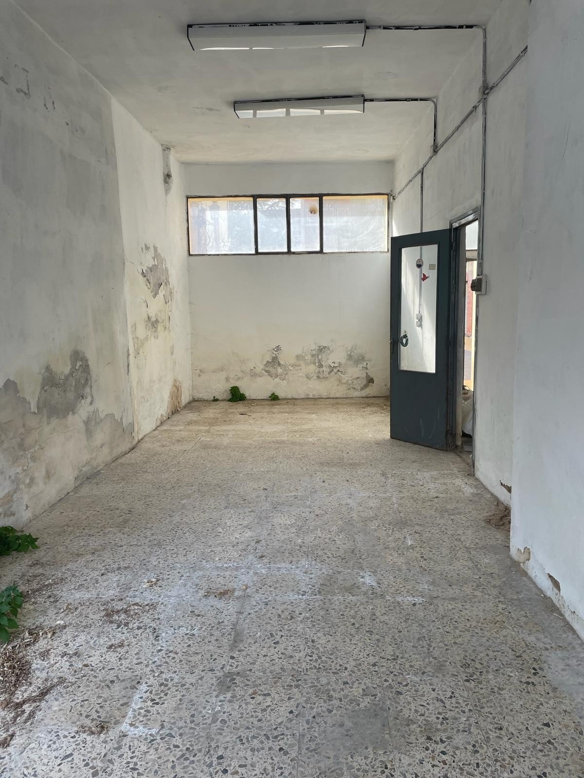 Foto 10