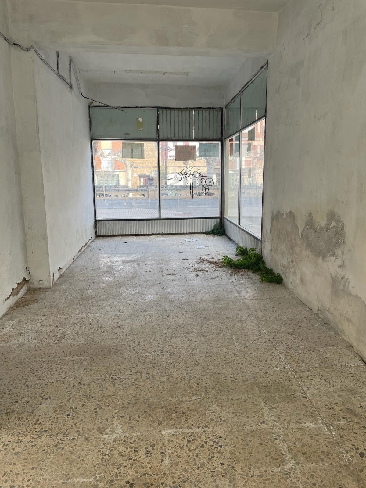 Foto 11