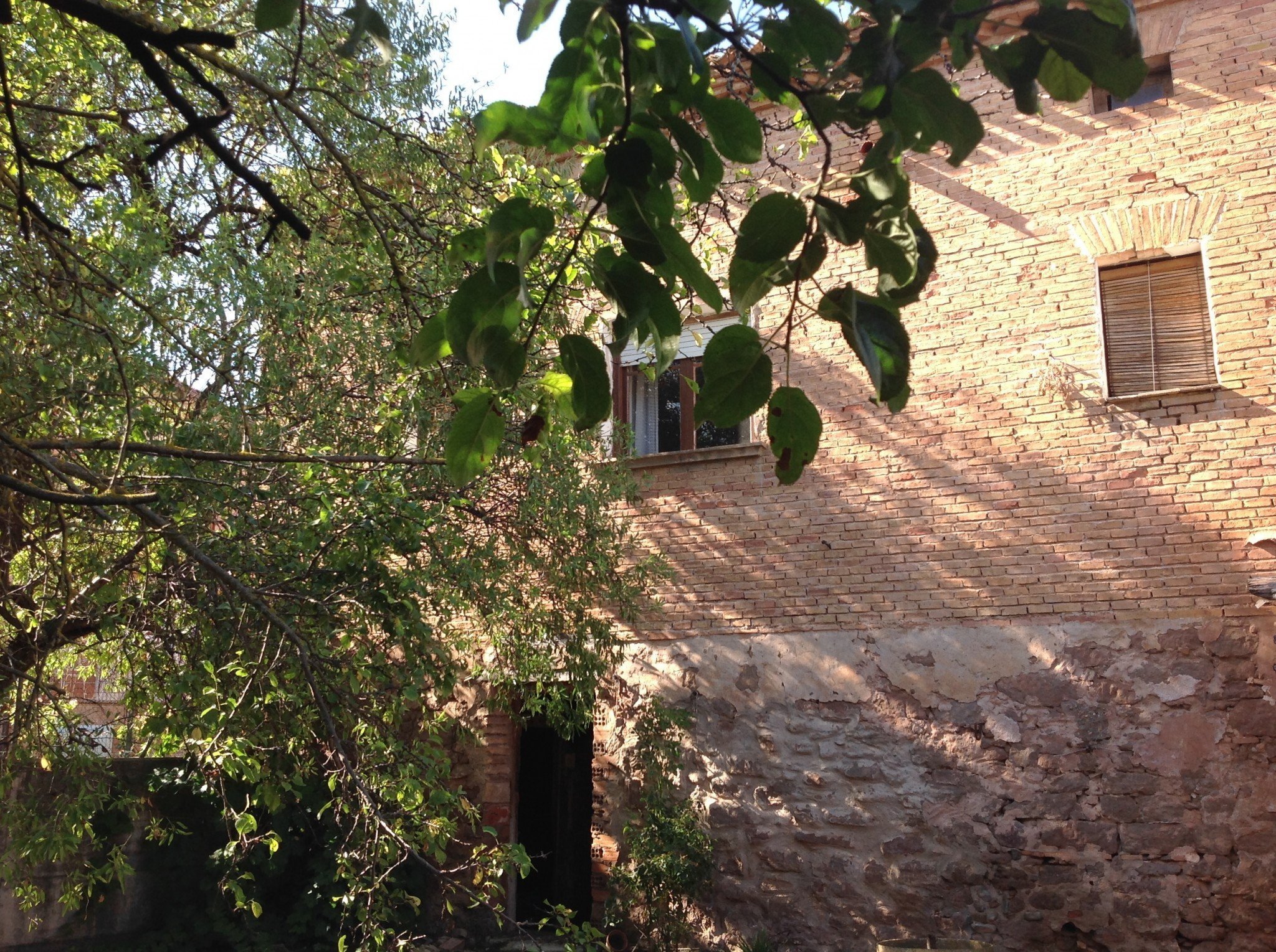 Foto 13