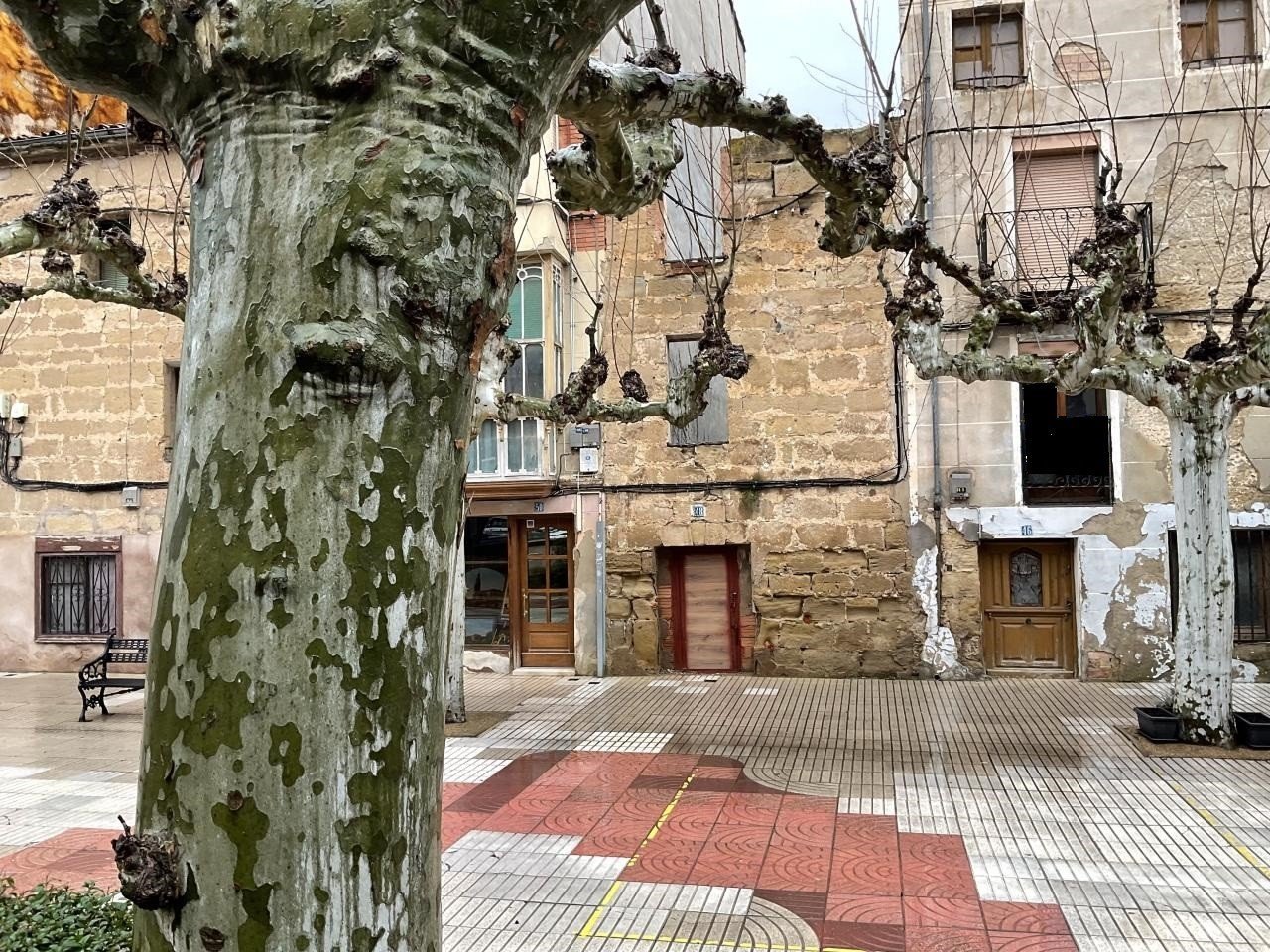 Foto 19