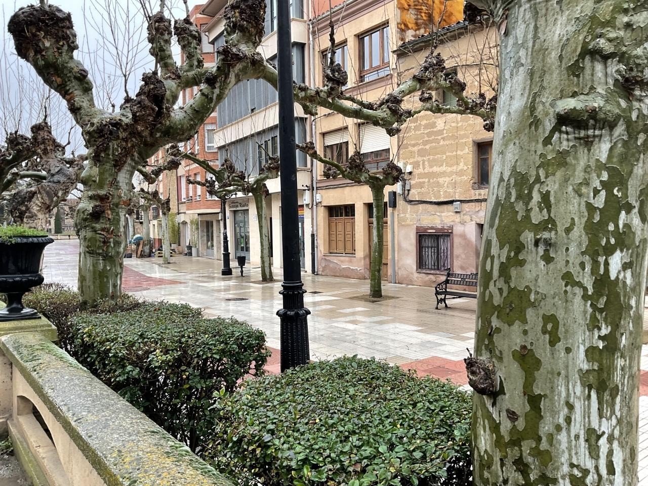 Foto 17