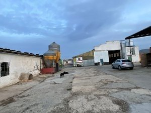 Foto 15