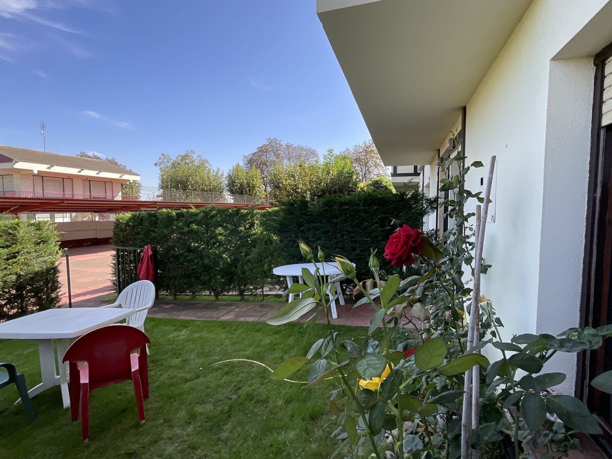 Foto 19