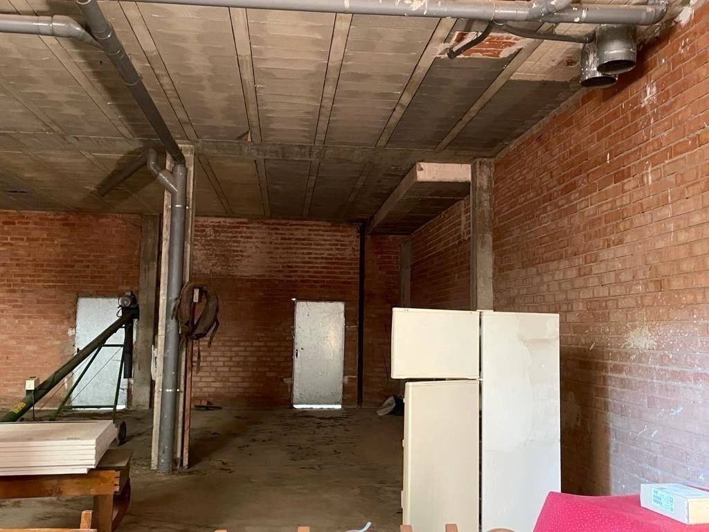 Foto 12