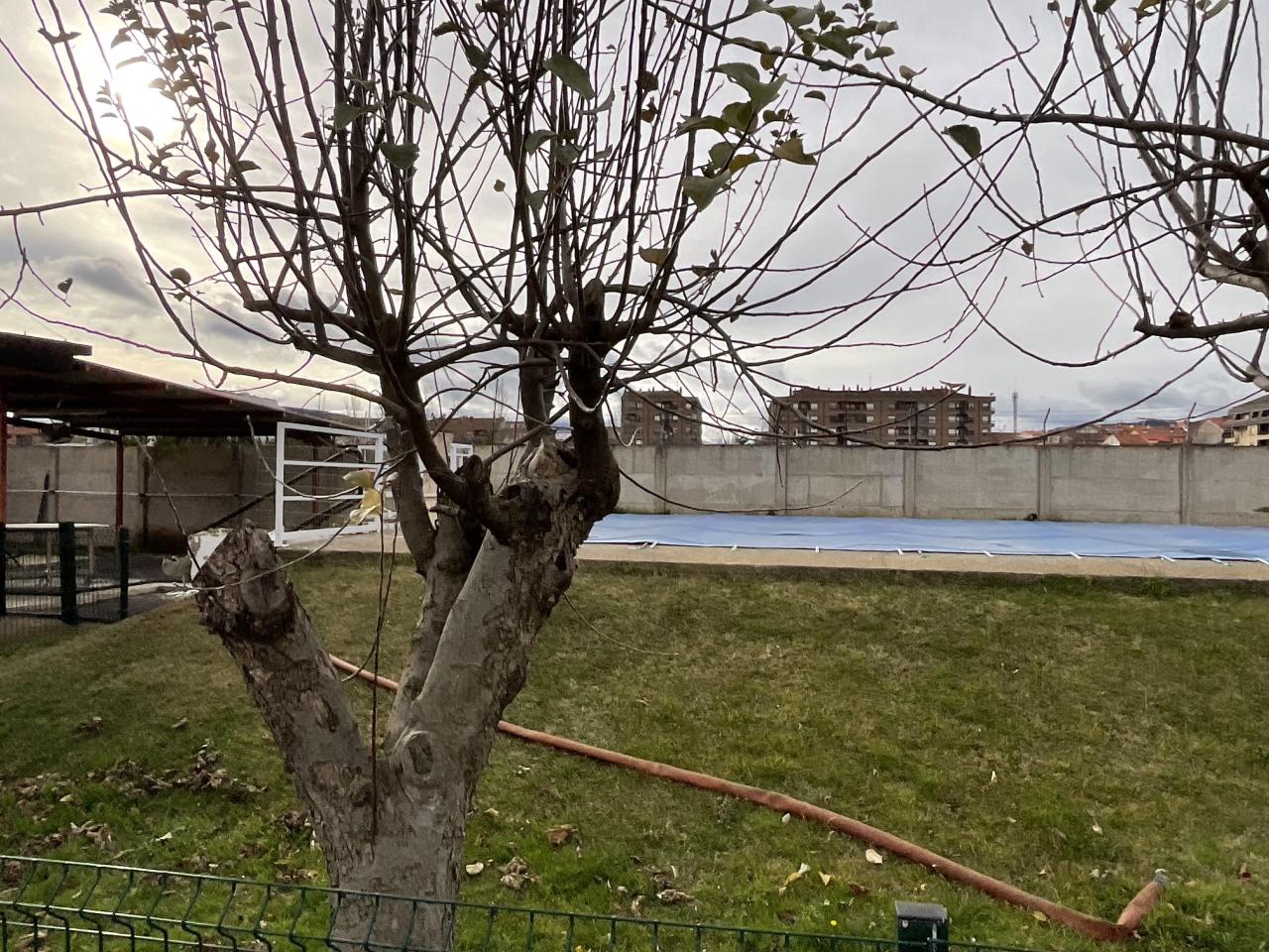 Foto 22