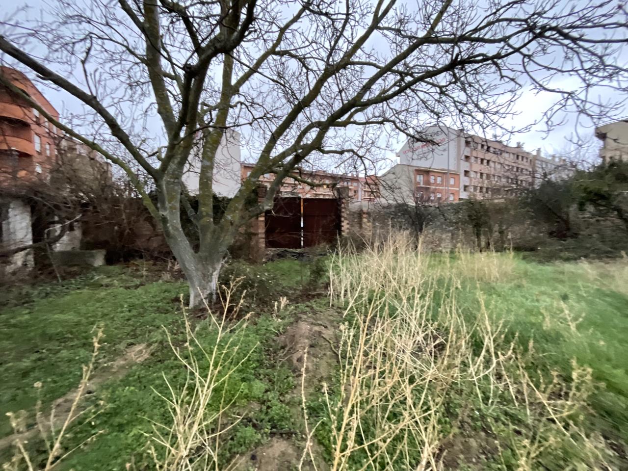 Foto 22