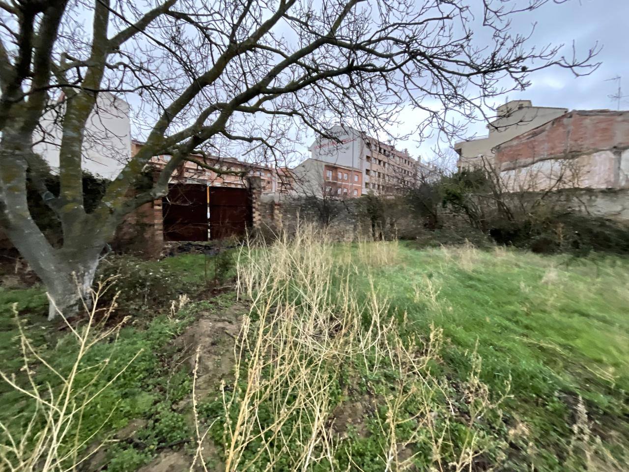 Foto 21