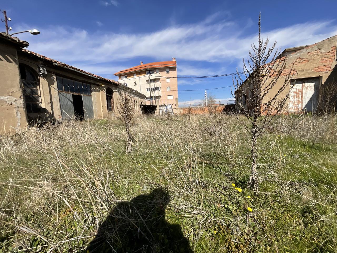 Foto 19