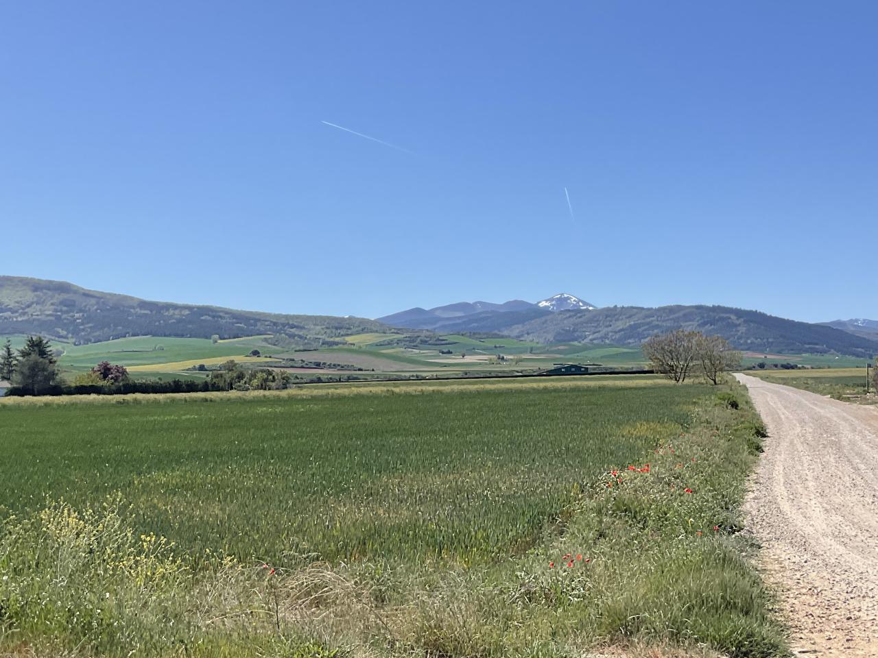 Calle La Carrasquilla