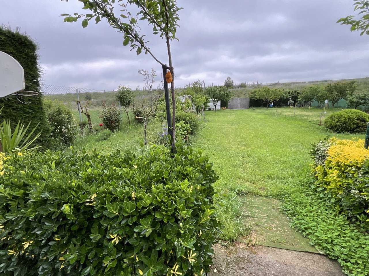 Foto 46