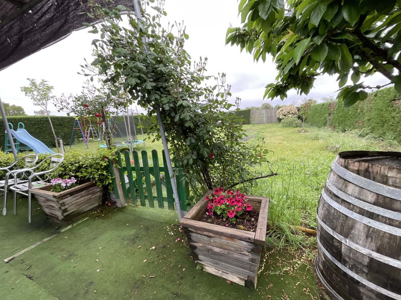 Foto 60