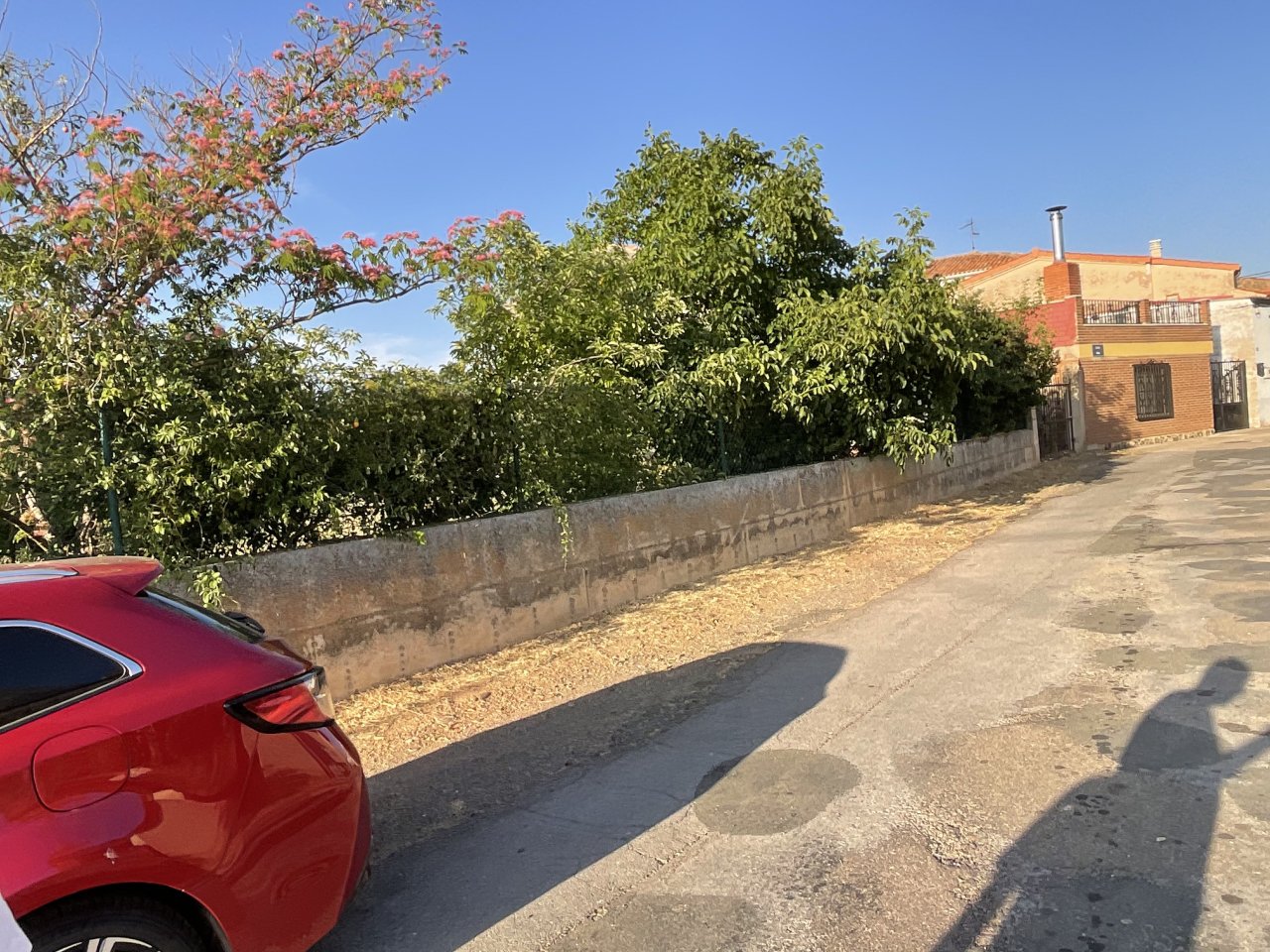 Foto 12