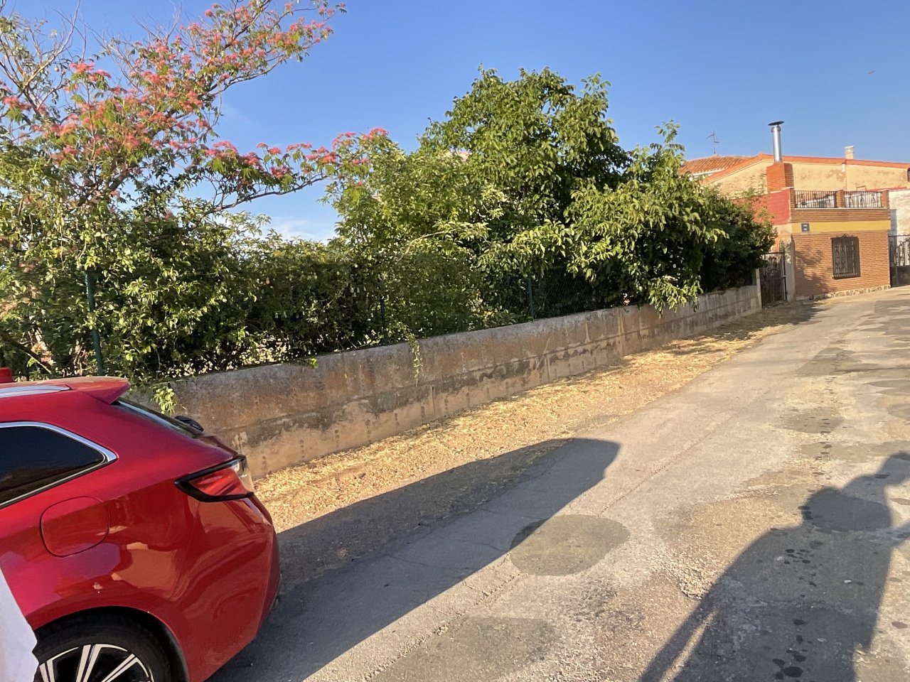 Foto 21