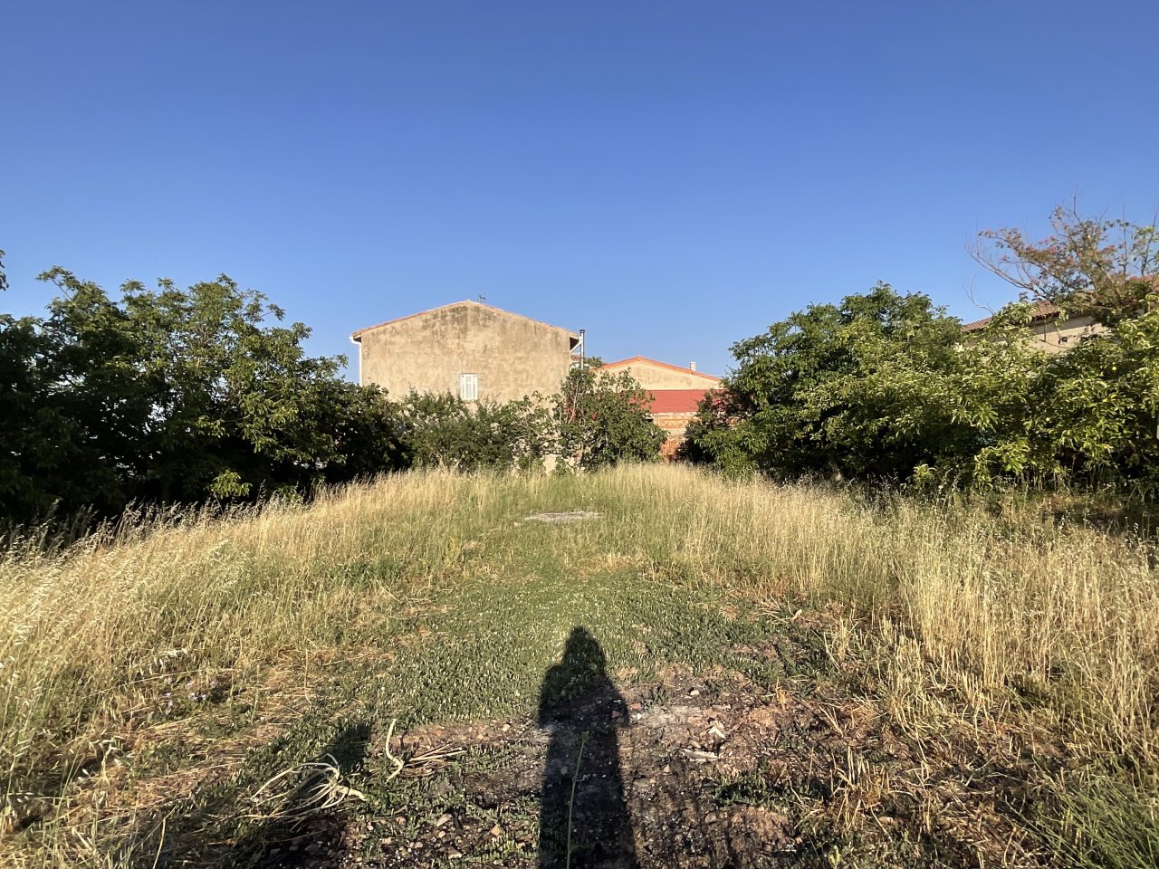 Foto 19
