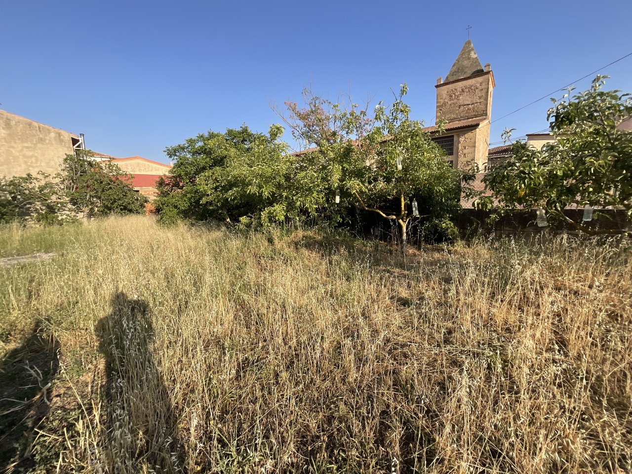 Foto 11