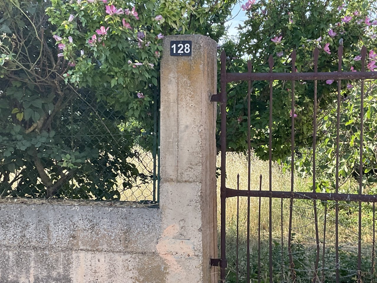 Foto 22