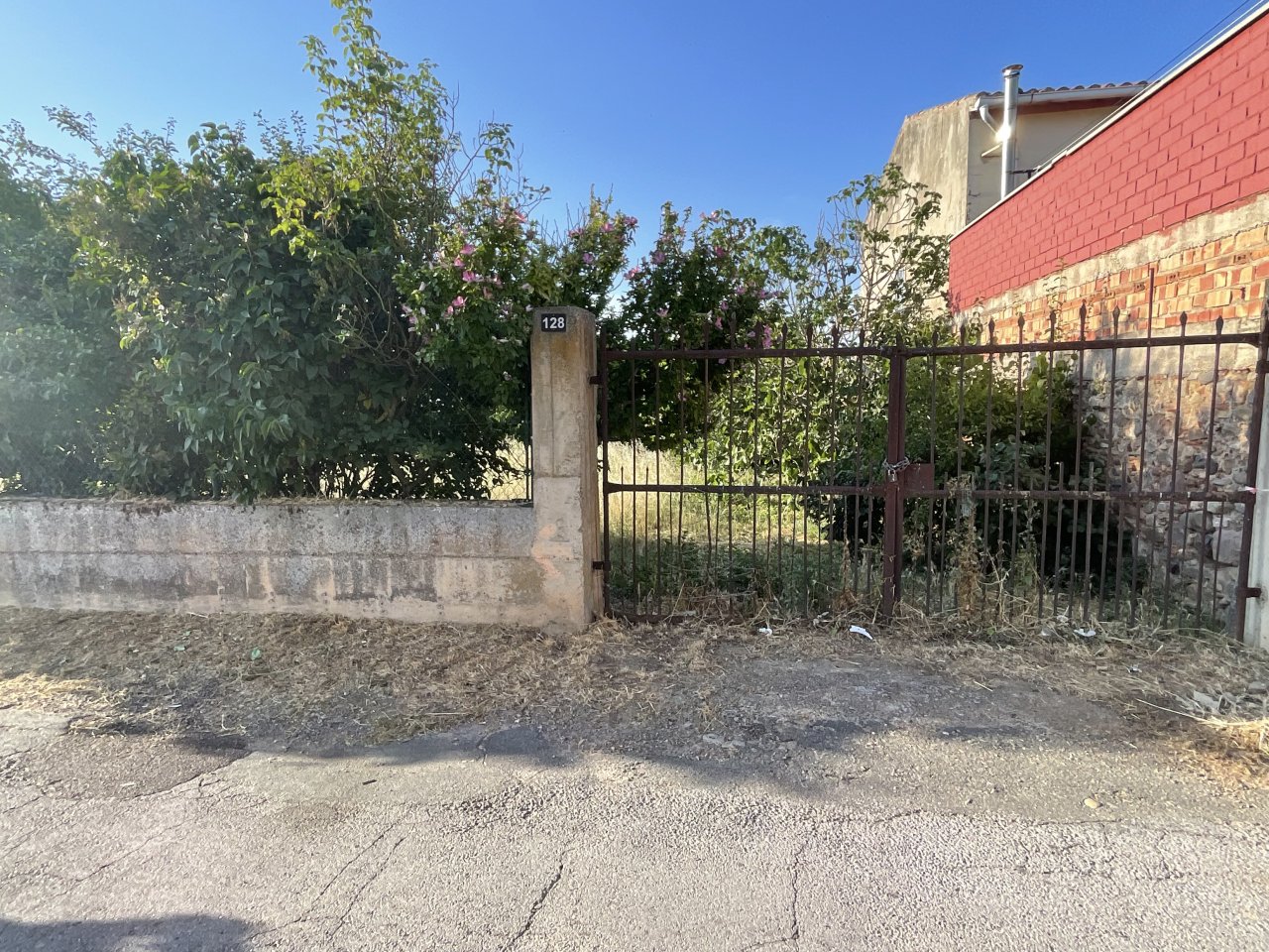 Foto 2
